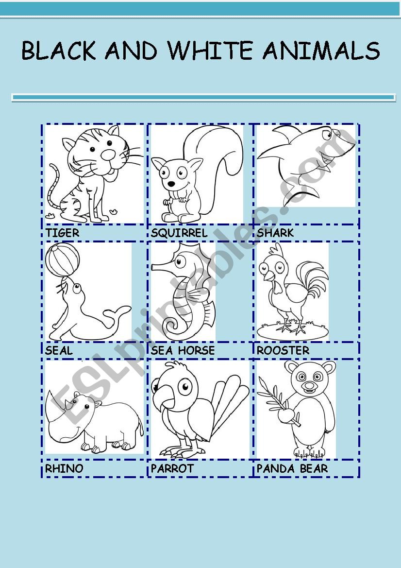 BLACK AND WHITE ANIMALS 2 worksheet