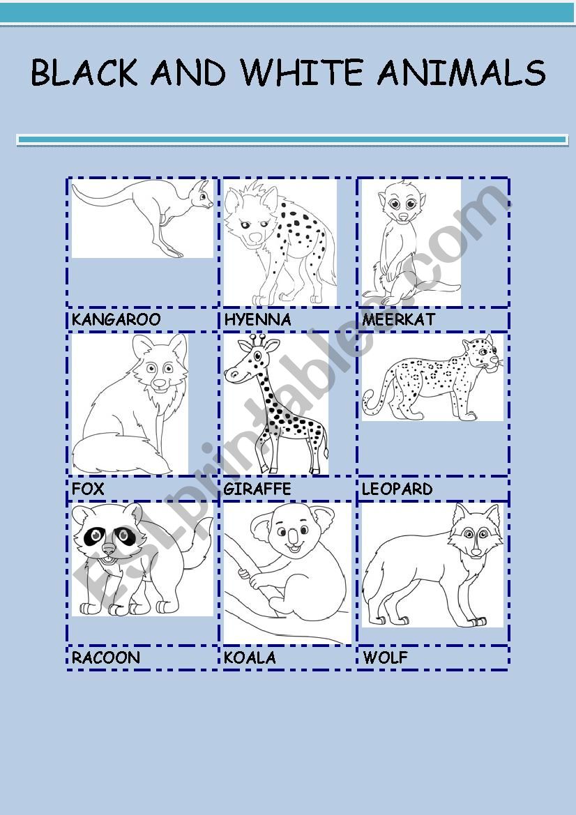 BLACK AND WHITE ANIMALS 6 worksheet