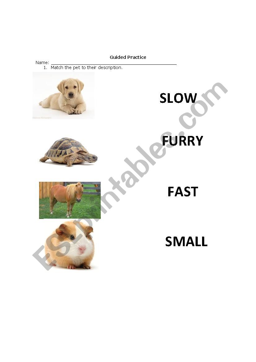 Using comparative with pets worksheet