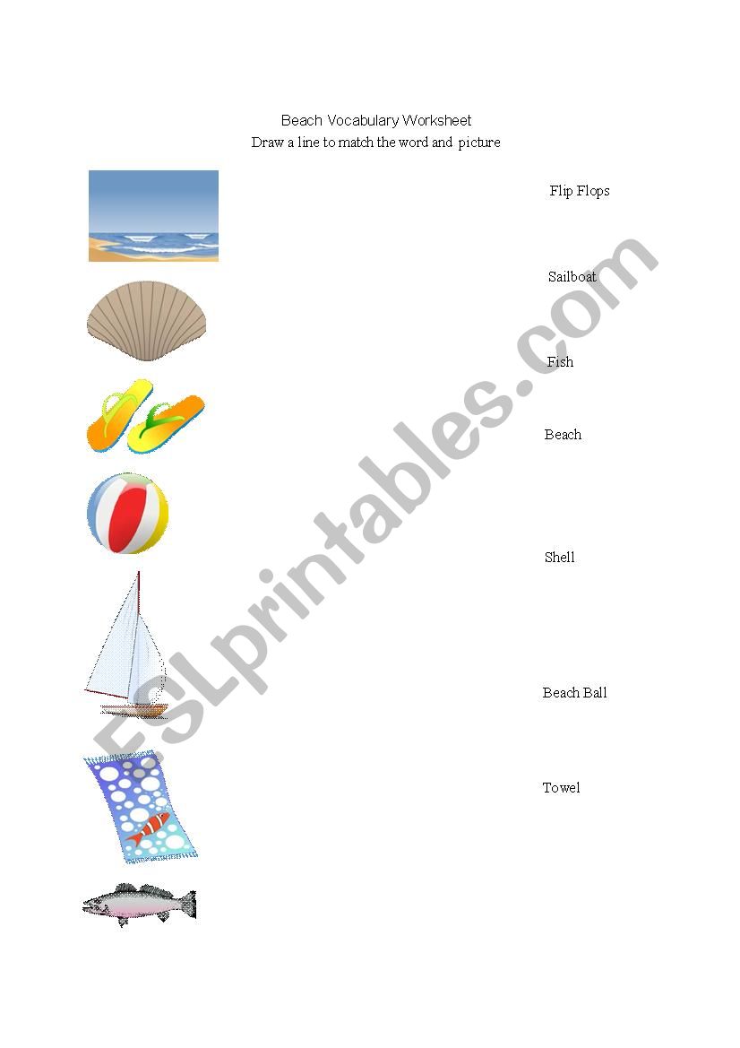 Beach Matching Worksheet worksheet