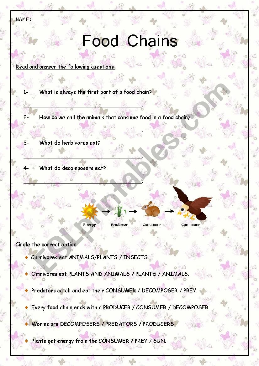 FOOD CHAINS worksheet