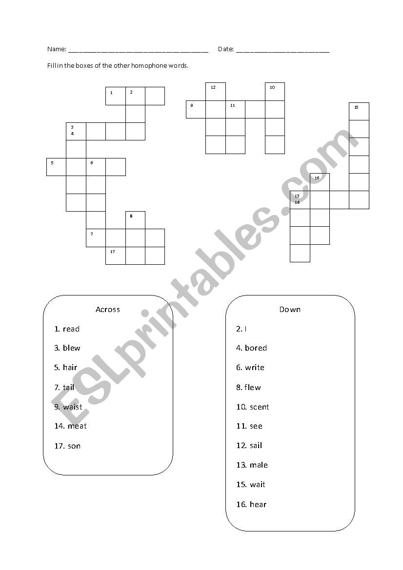 Homophones worksheet