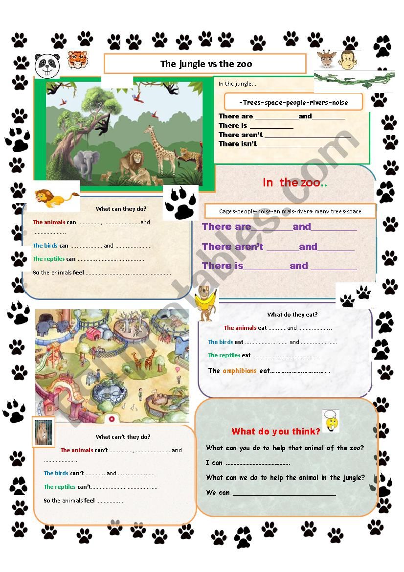 The Jungle vs The Zoo worksheet