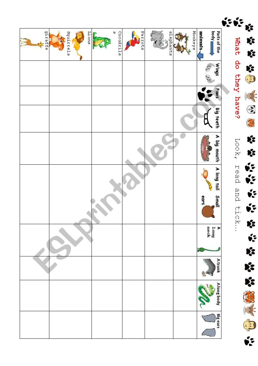 Describing animals worksheet