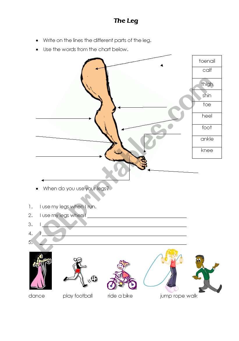 The Leg worksheet