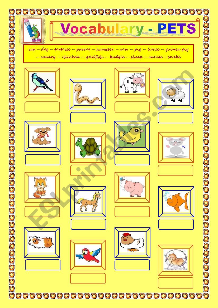 Pets worksheet