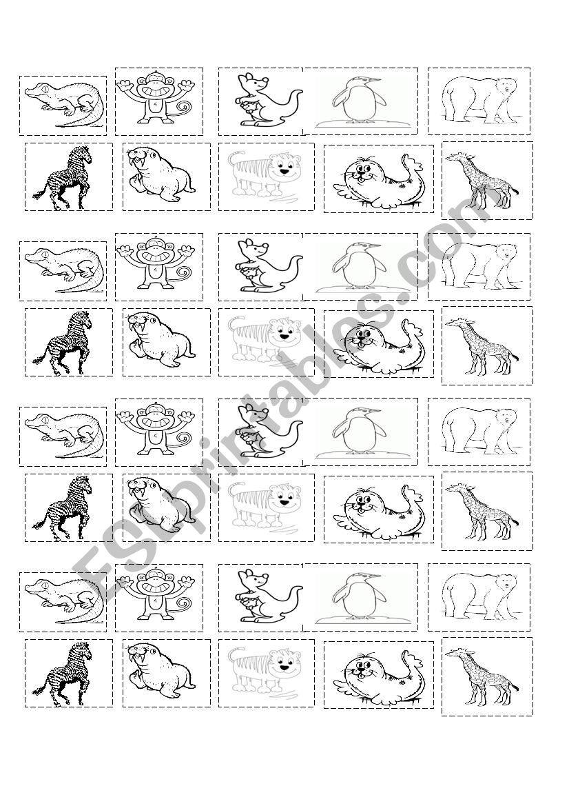 WORKSHOP: ANIMALS  worksheet