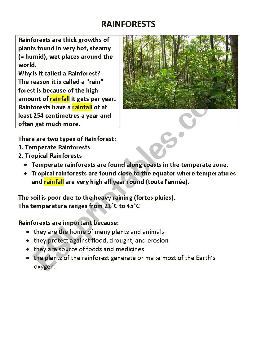 Tropical rainforests worksheet