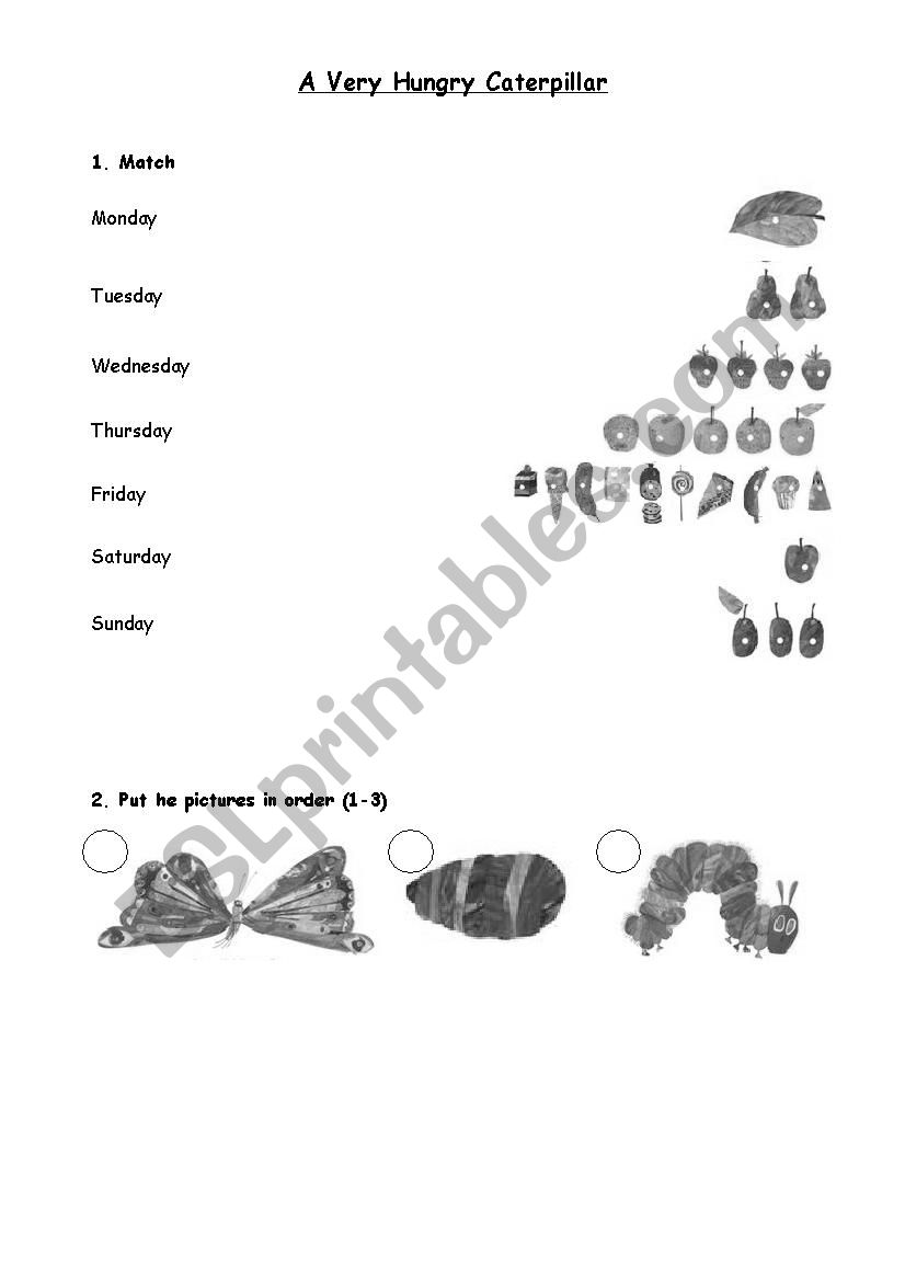 A Very Hungry Caterpillar worksheet