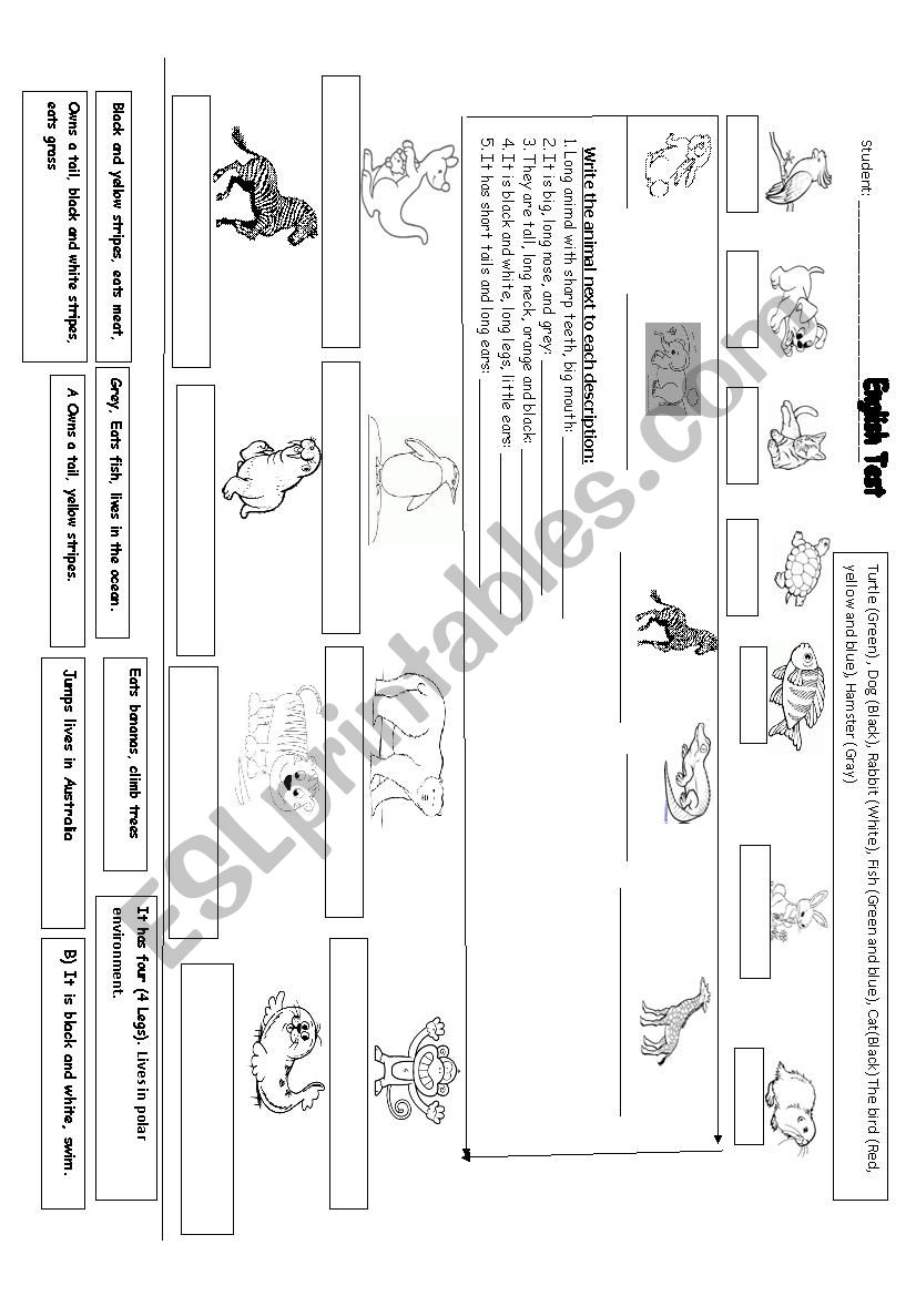 DOMESTIC AND WILD ANIMALS TEST 