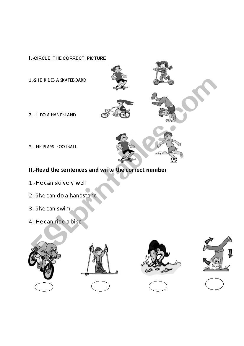 can worksheet