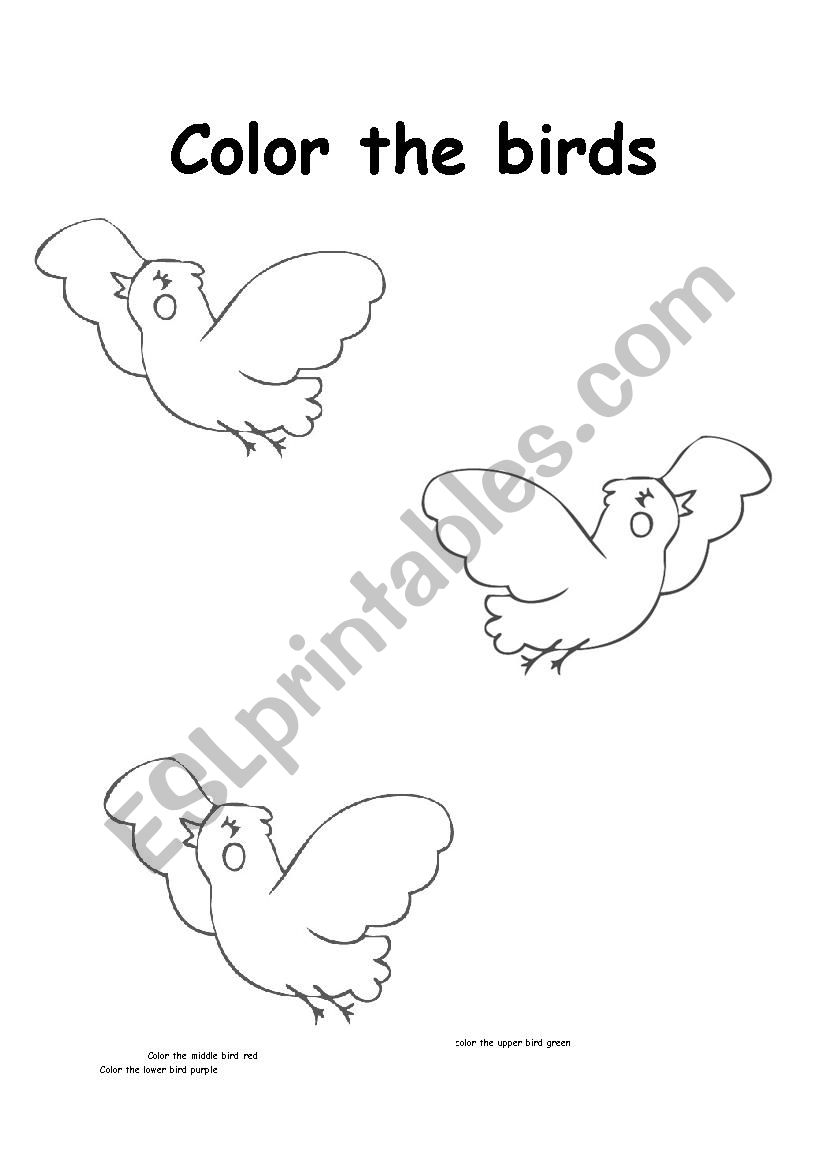 color the bird worksheet