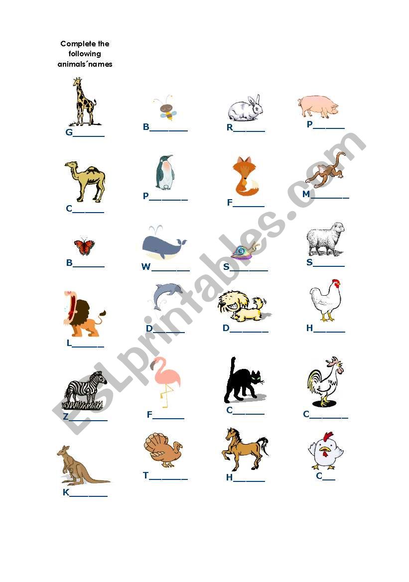 animals worksheet