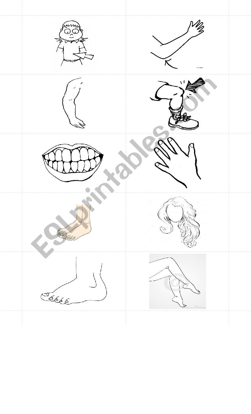 Parts of the body CARDS worksheet