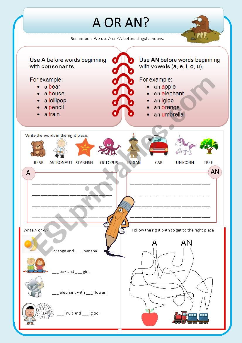 A or an worksheet