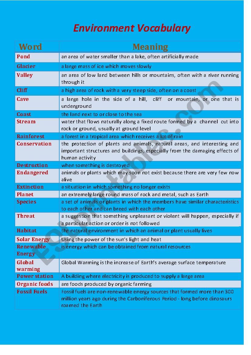 Environment Vocabulary   worksheet