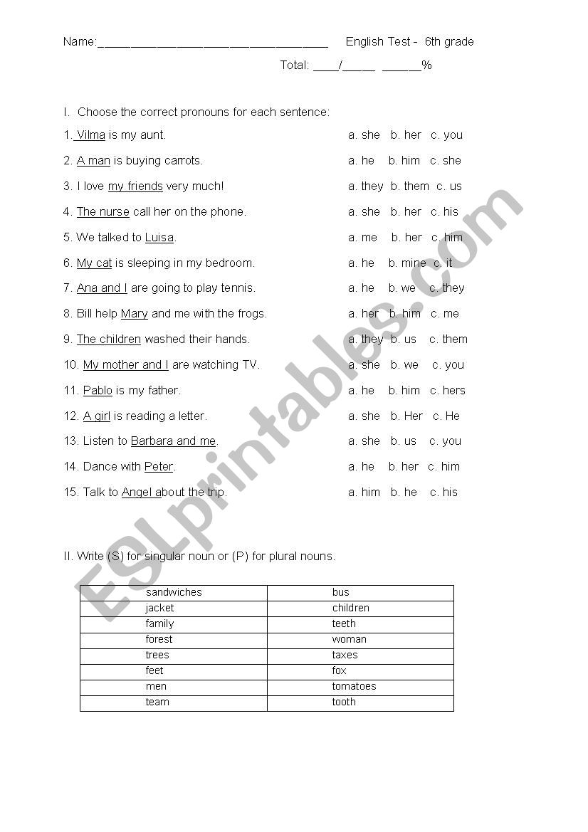 6th grade noun test worksheet