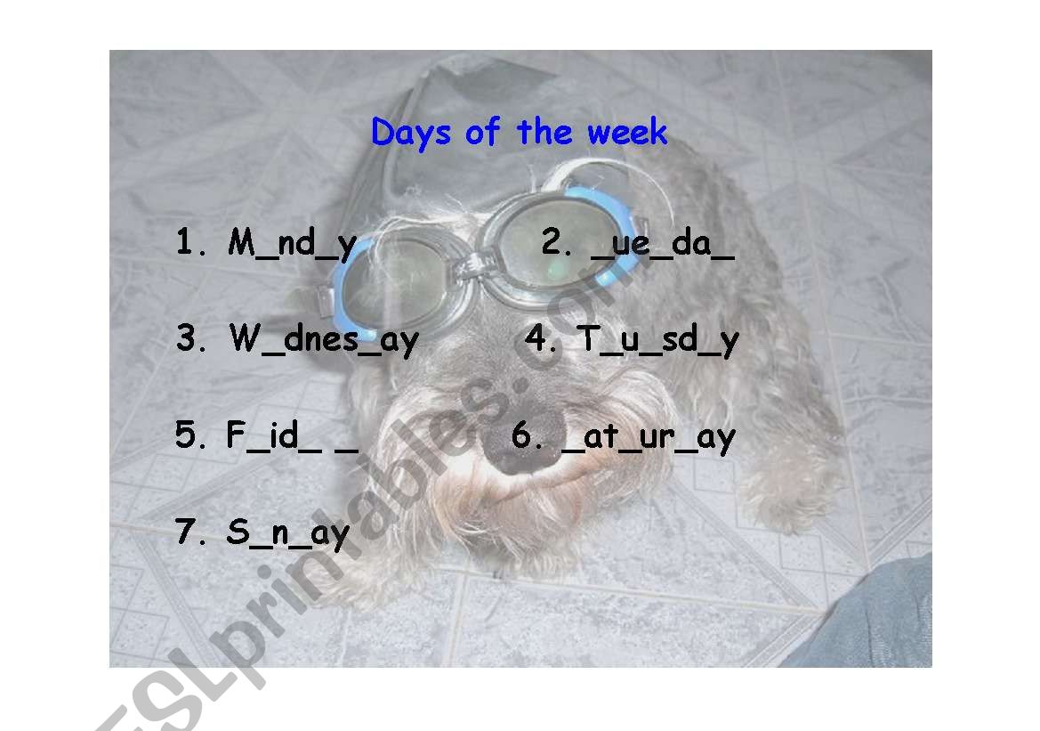 DAYS OF THE WEEK worksheet