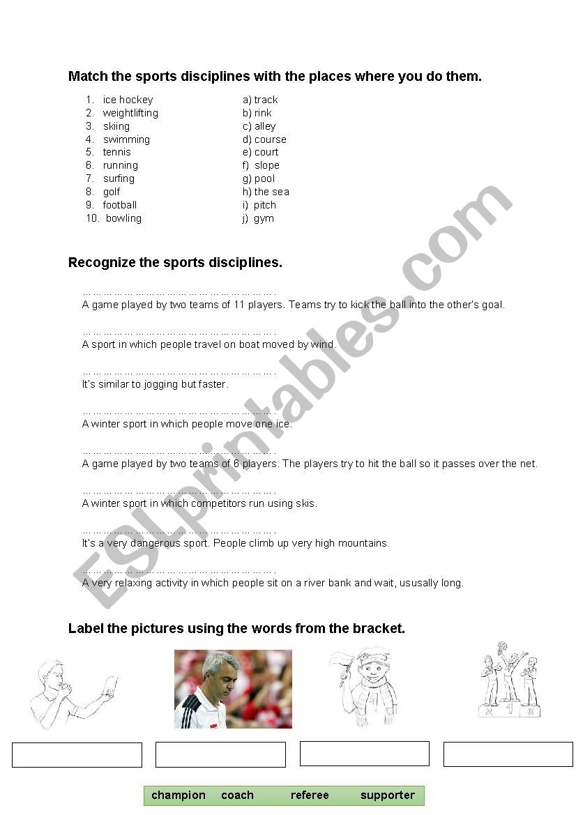 Sport - exercises worksheet