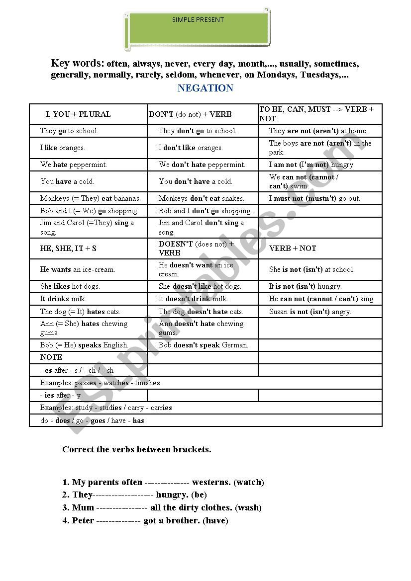 grammer simple present worksheet