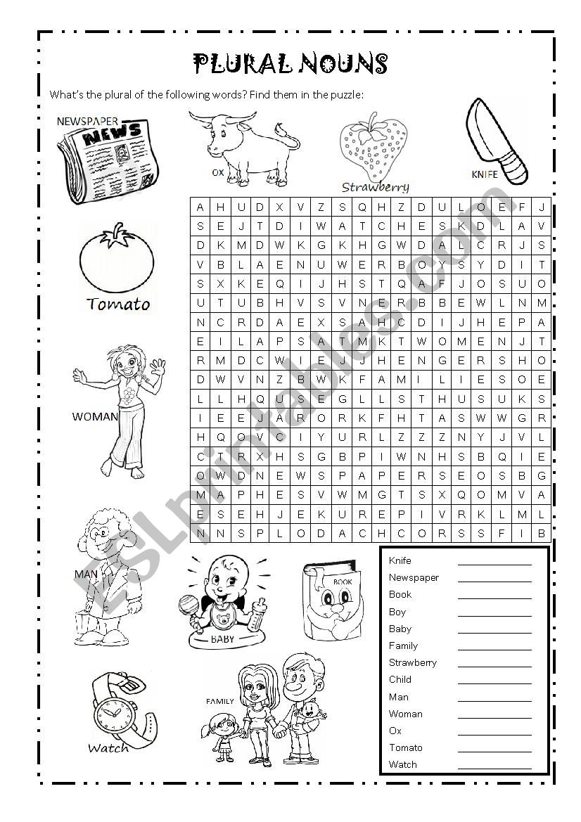 singular nouns worksheet