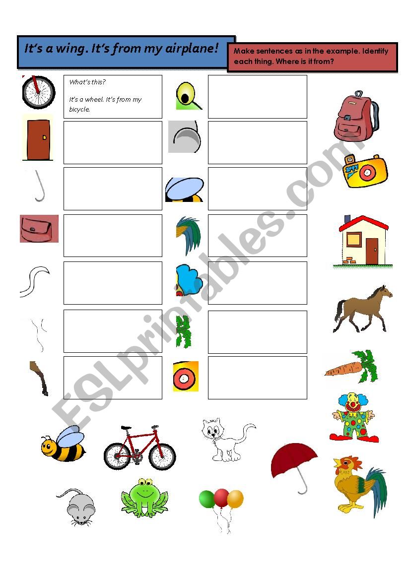 IDENTIFYING THINGS worksheet