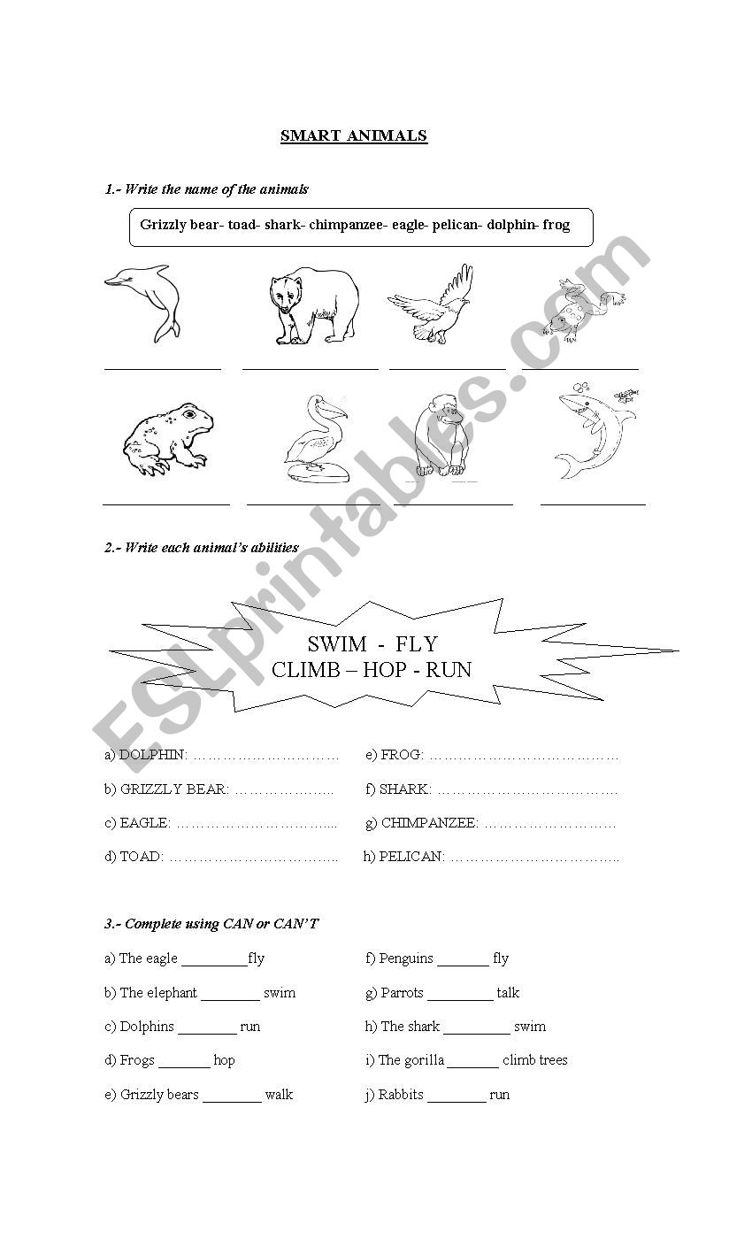 Smart Animals worksheet