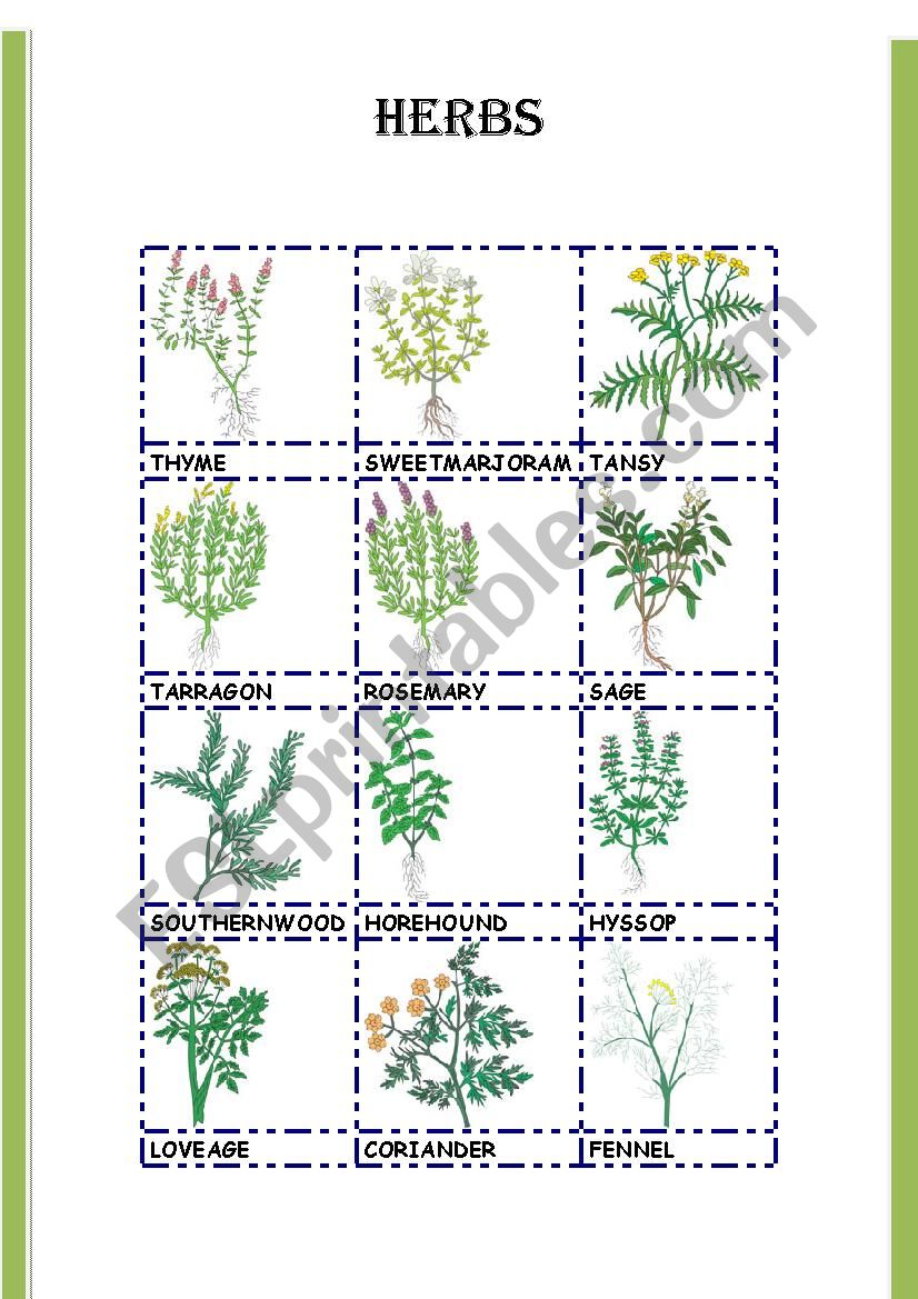 HERBS worksheet