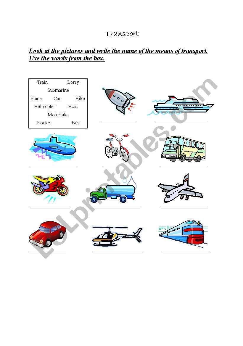Means of transport worksheet