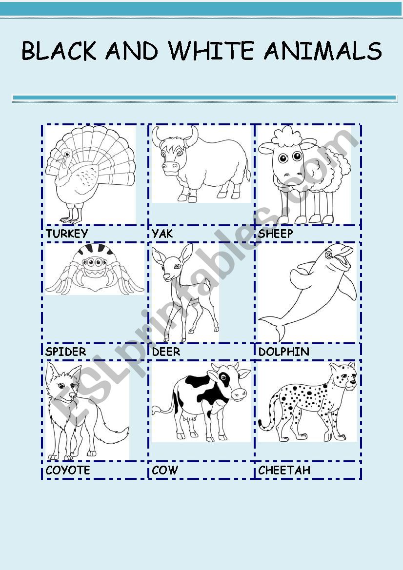 BLACK AND WHITE ANIMALS 7 worksheet