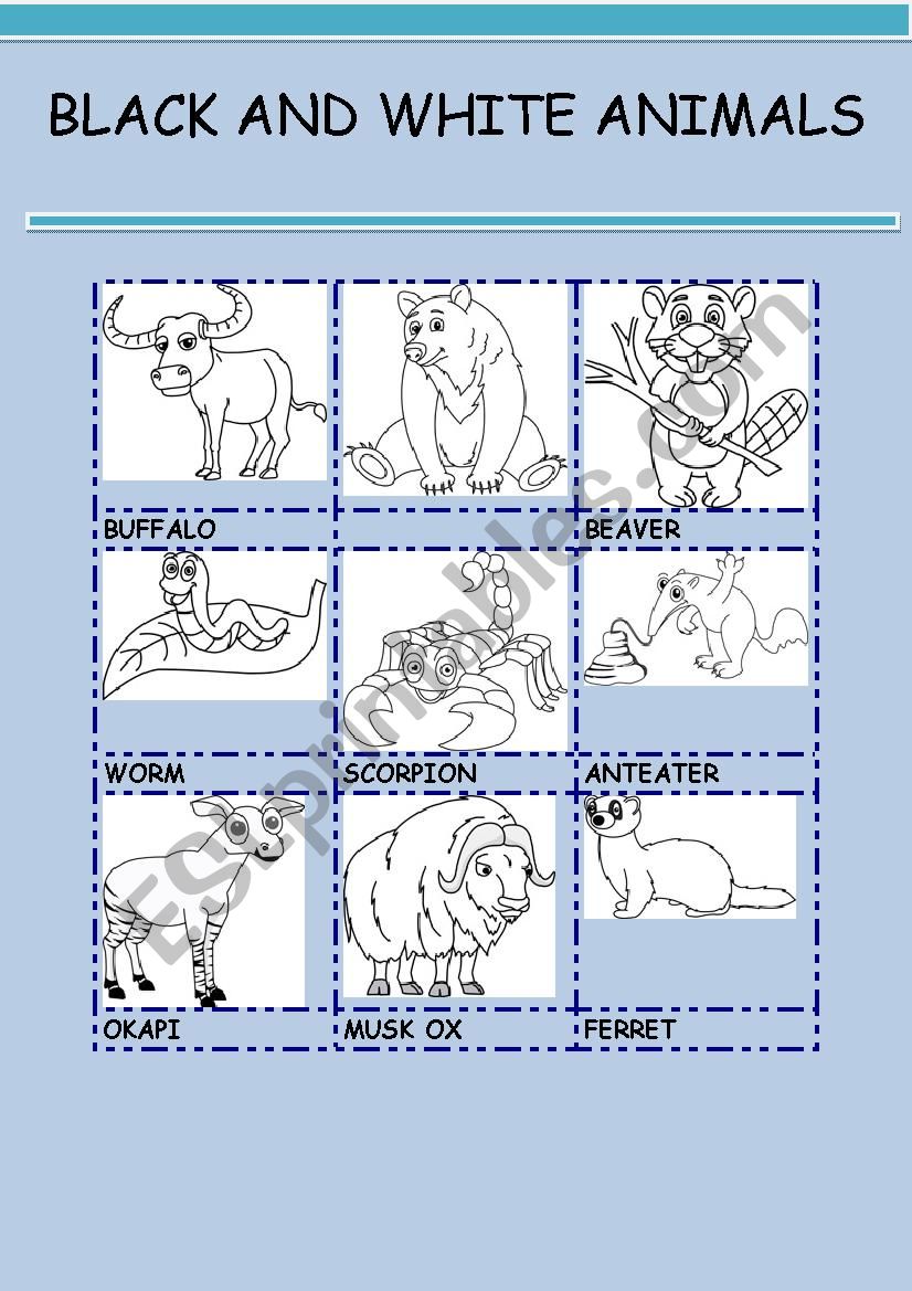 BLACK AND WHITE ANIMALS 8 worksheet