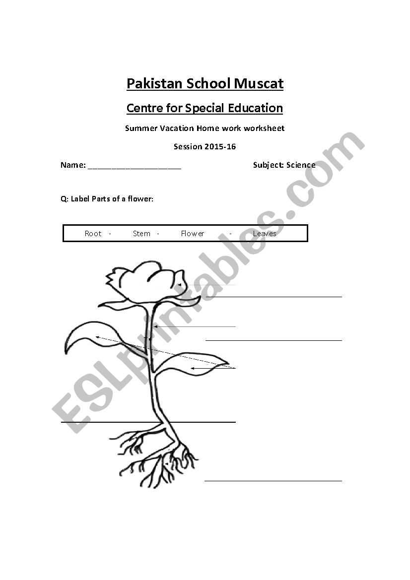 plant structure worksheet