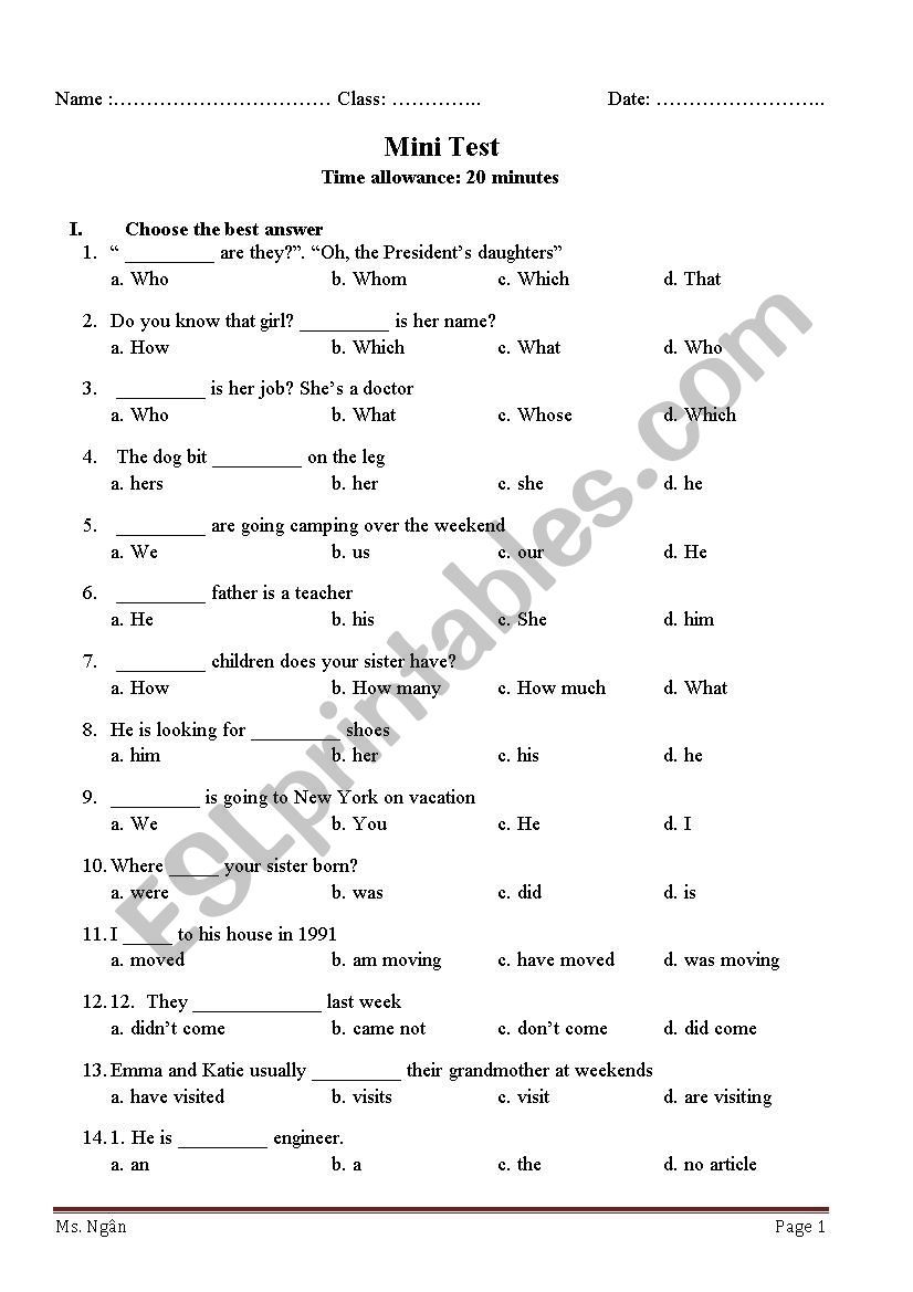 Mini Test worksheet