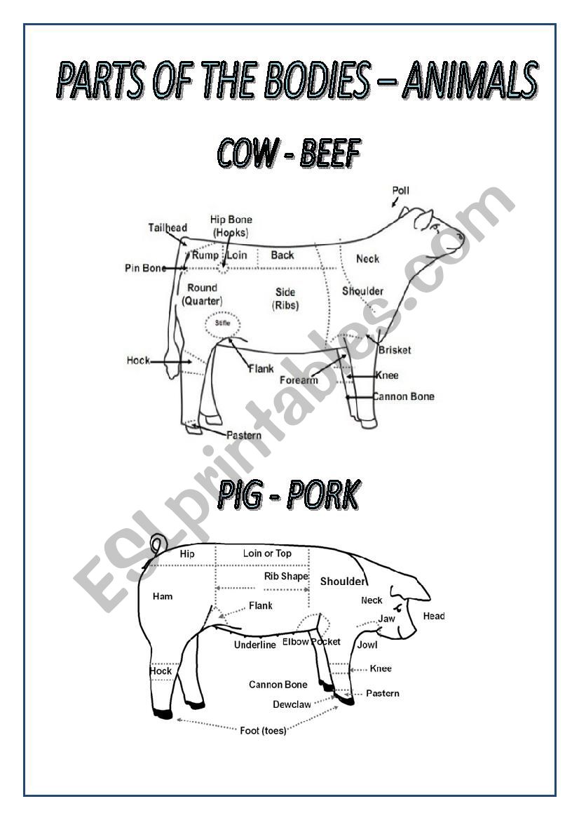Animals - Body Parts worksheet