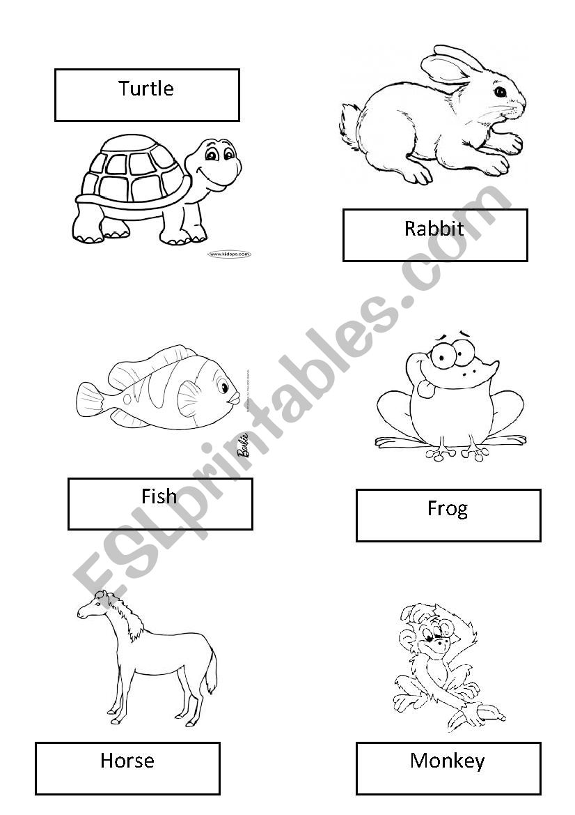 Animals worksheet