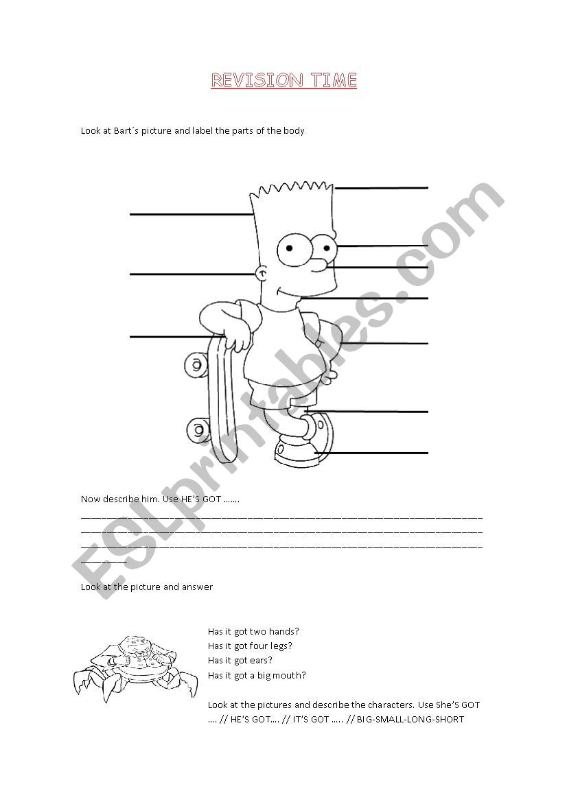 Revision time 2 worksheet