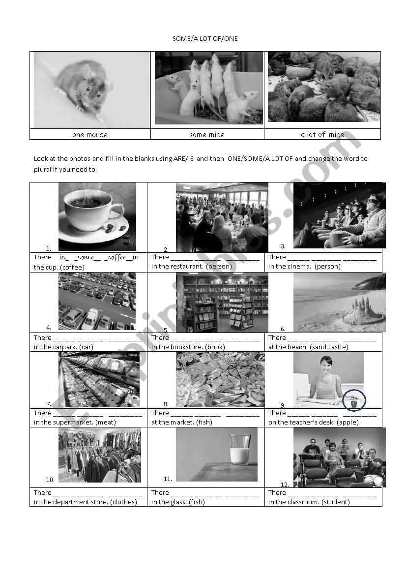 Some/A lot of/One worksheet