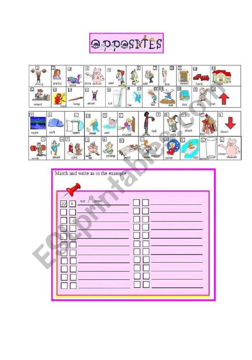 Opposites worksheet