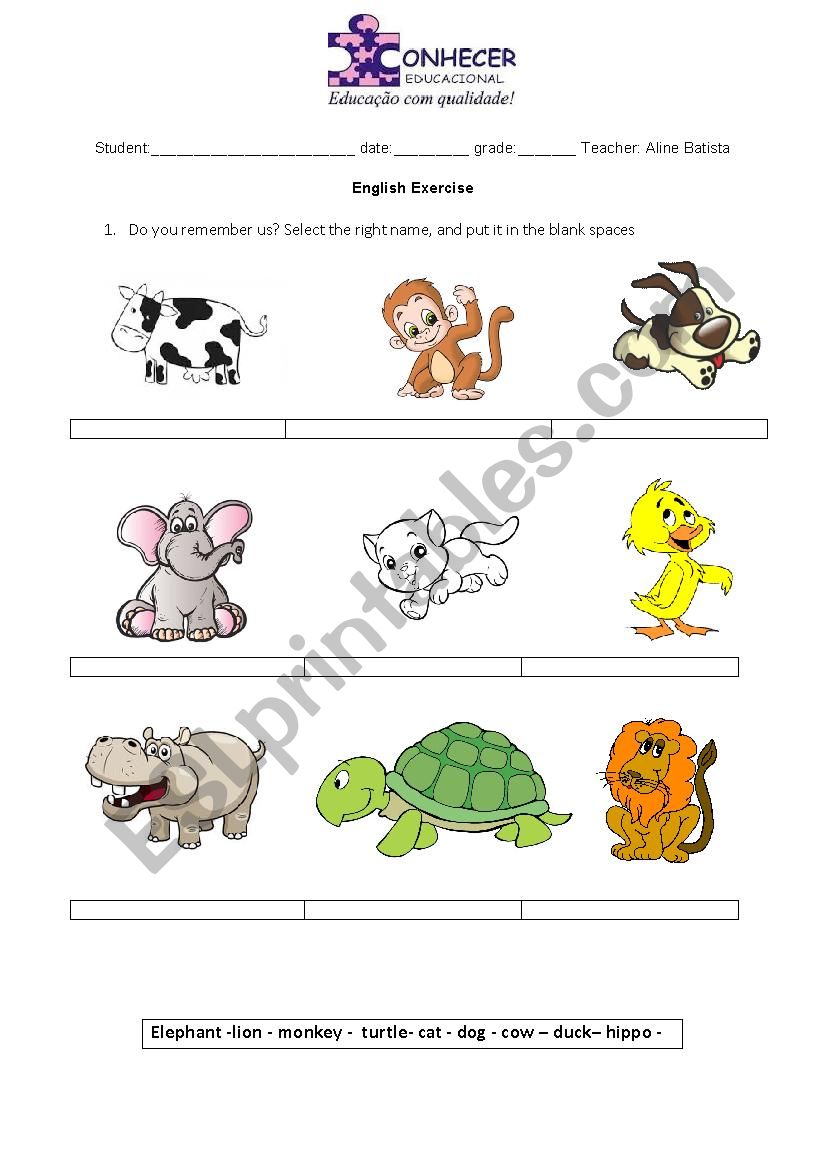 Animals worksheet