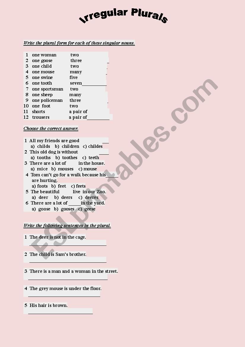 irregular plurals worksheet