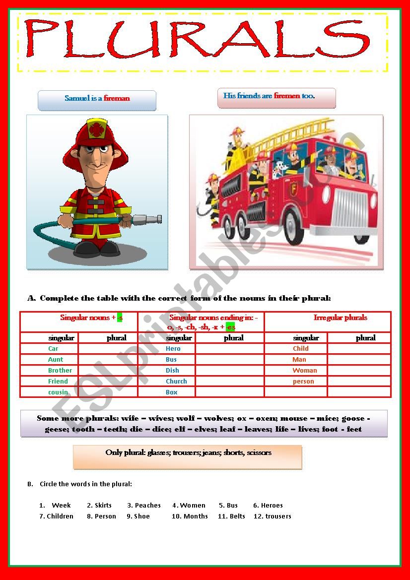 PLURALS - REGULAR AND IRREGULAR 