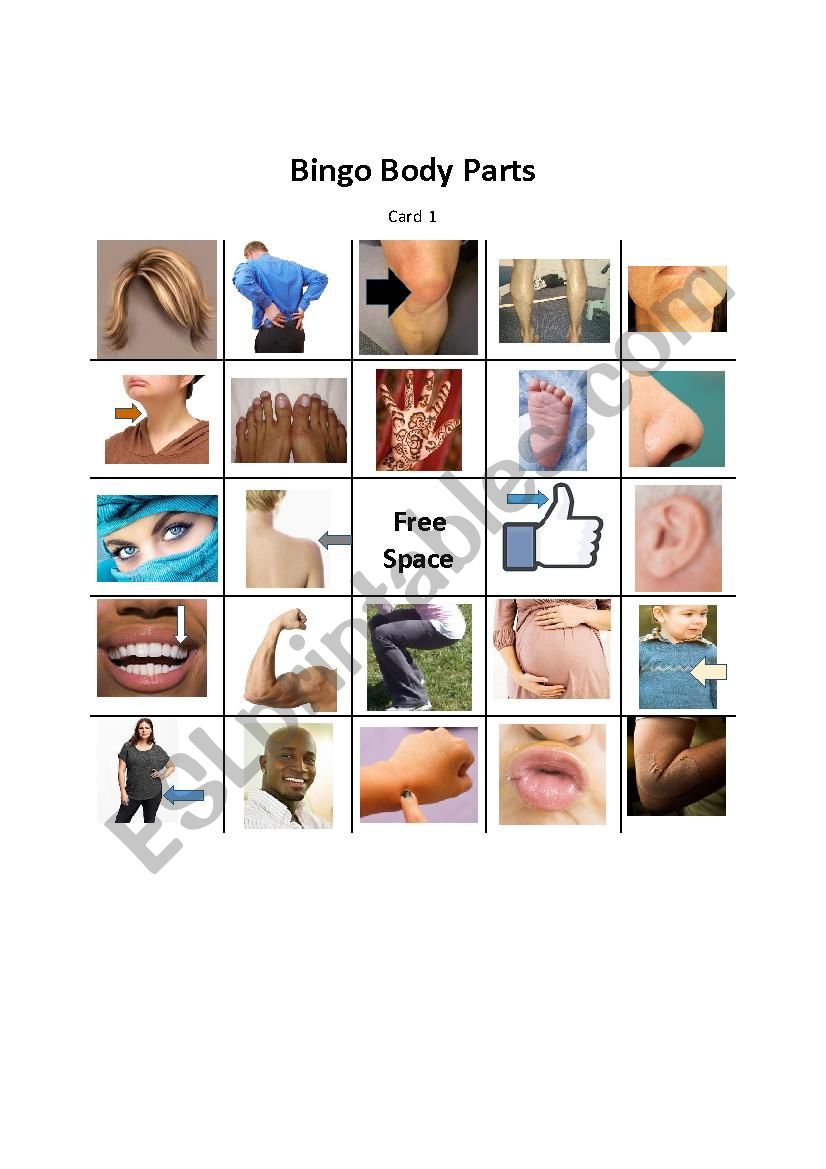 Body Parts Bingo worksheet