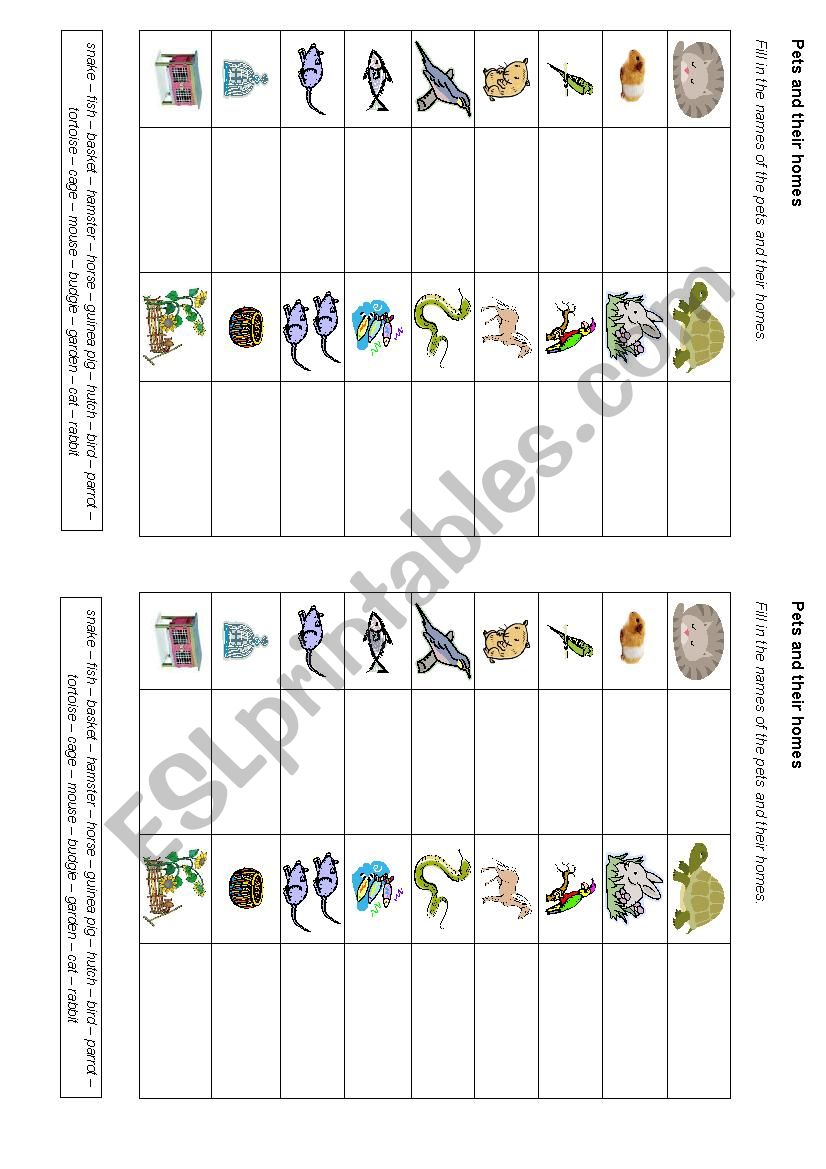 Pets and their homes worksheet