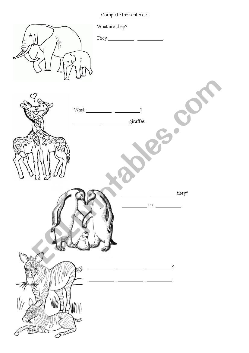 They are wild animals worksheet
