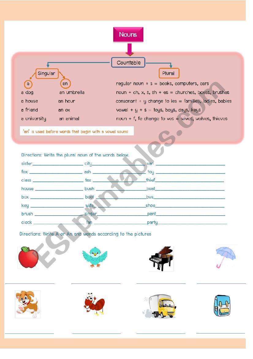 Countable nouns worksheet