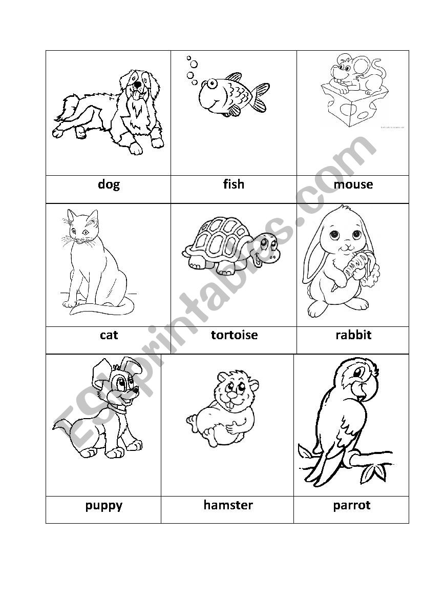 Animals worksheet