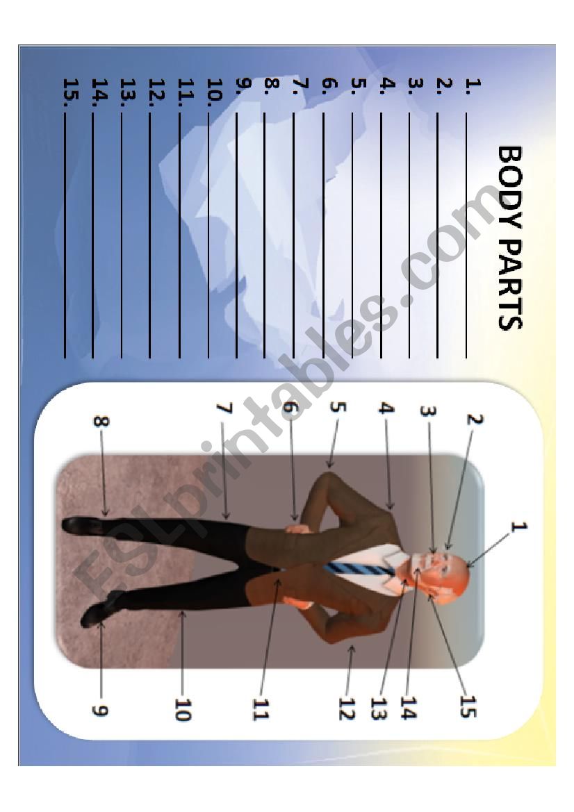 Body Parts worksheet