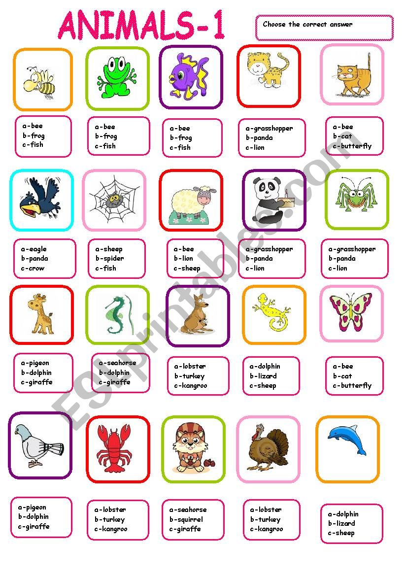 Animal multiple choice worksheet