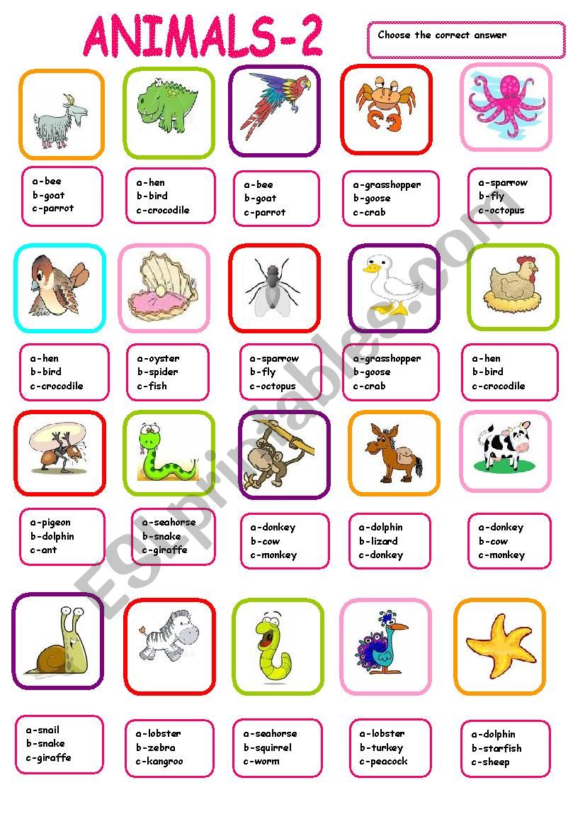 Animal multiple choice2 worksheet