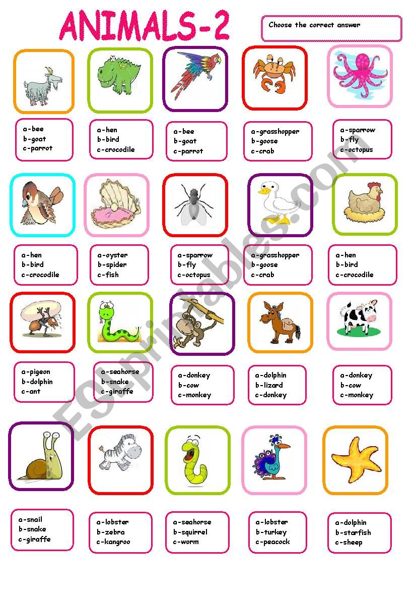 Animal multiple choice2 worksheet